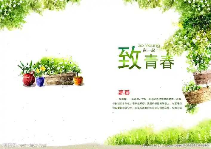 致青春相册封面图片