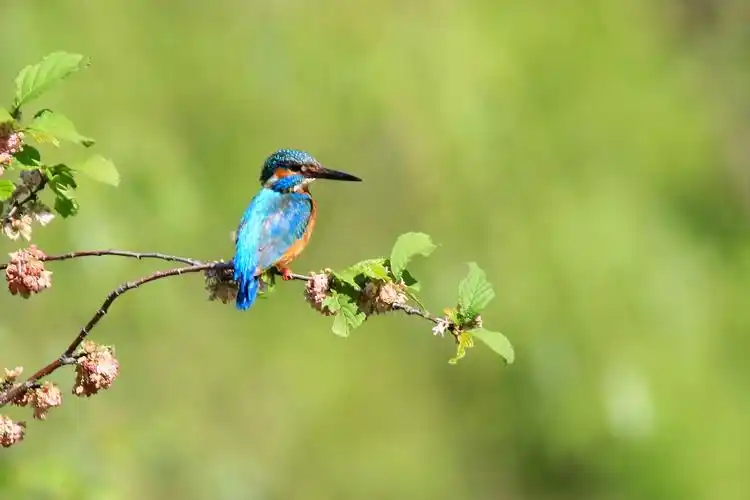 原图欣赏-太平洋摄影部落
