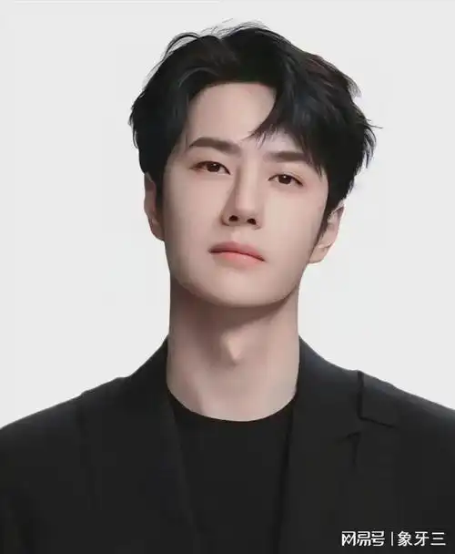 内娱历年顶流男明星,鹿晗肖战王一博最持久,成毅龚俊最被看好