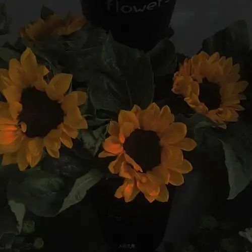 ins潮图朋友圈背景图高质量神仙背景部分摄影类型源看水印