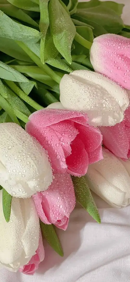 壁纸|锁屏手机壁纸 676767