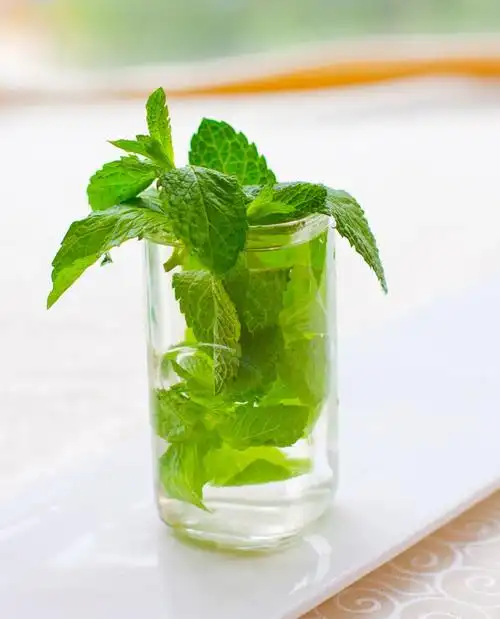 薄荷叶吃出这许多花样