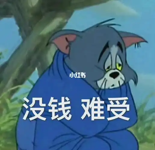 没钱难受猫和老鼠表情包分享