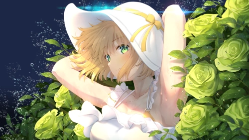 二次元壁纸(高清无水印)(老婆都在6)(pc端)