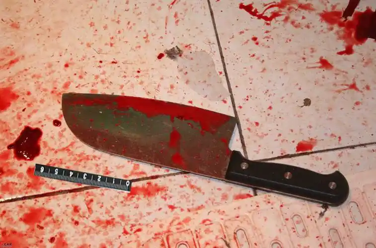 真实的凶案现场图片 中国恐怖案件现场图片-图片大观-奇异网