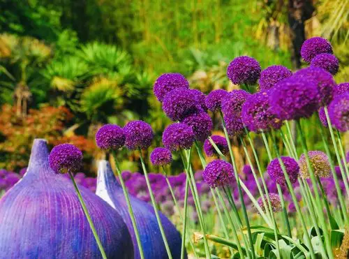 你的果实,也是大自然对人类最慷慨的给予!