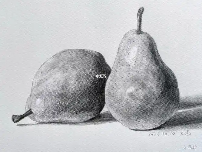 适合初学者的铅笔素描练习画洋梨