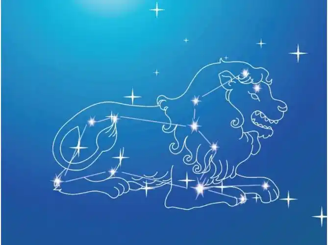 狮子座图片大全【专辑2】