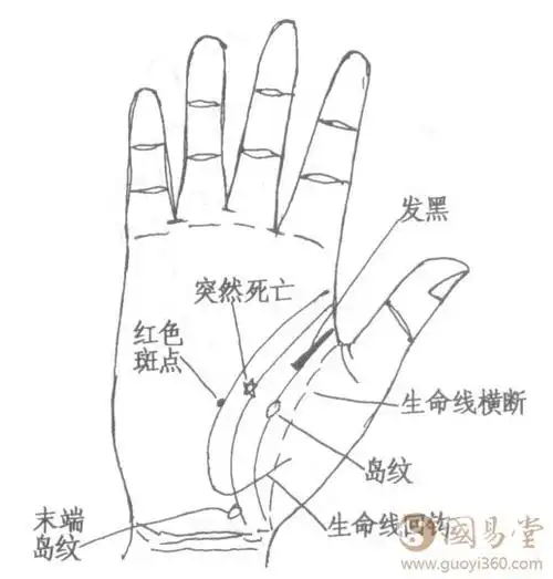 生命线分叉图解生命线末端分叉图解