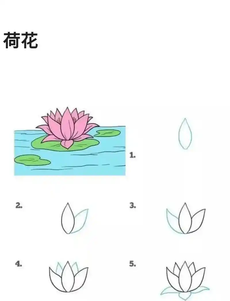 花简笔画.#简笔画#图文伙伴计划 花简笔画 六步画荷花,牡丹 - 抖音
