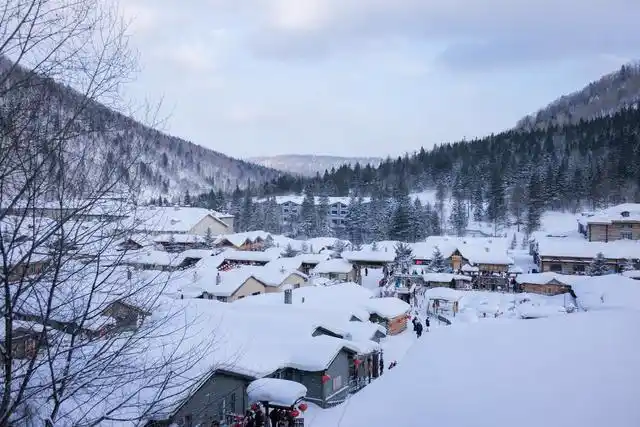 钟南山谈黑龙江疫情对高寒地区病亡率要科学分析