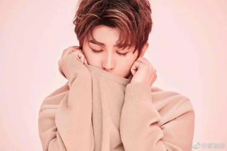 其它 kun&ikun 写美篇中文名:蔡徐坤 外文名:august 别名:蔡蔡,菜包