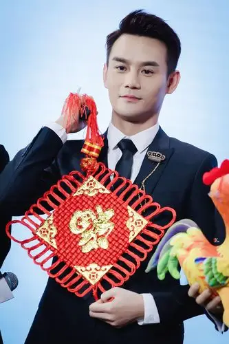 主题:★★★折梅扫雪辞旧岁 凯乐奏迎戊戌春★★★王凯2018央视春晚