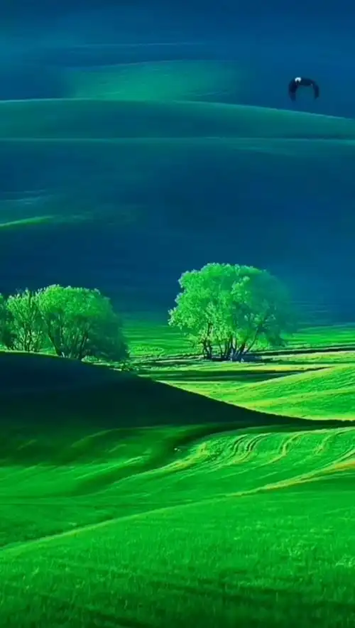 青青草原绿油油 一条通道朝远方 树阴脚下无一人 只见孤雁独自飞