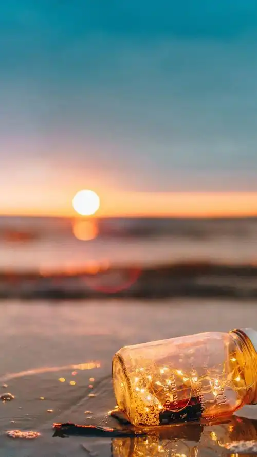 清新唯美静物手机壁纸