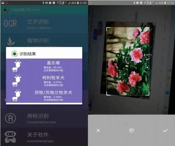 拍照识图app下载 万能拍照识别 for android v2.