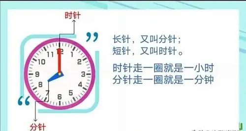 幼小衔接活动——时间(二)认识整点和半点