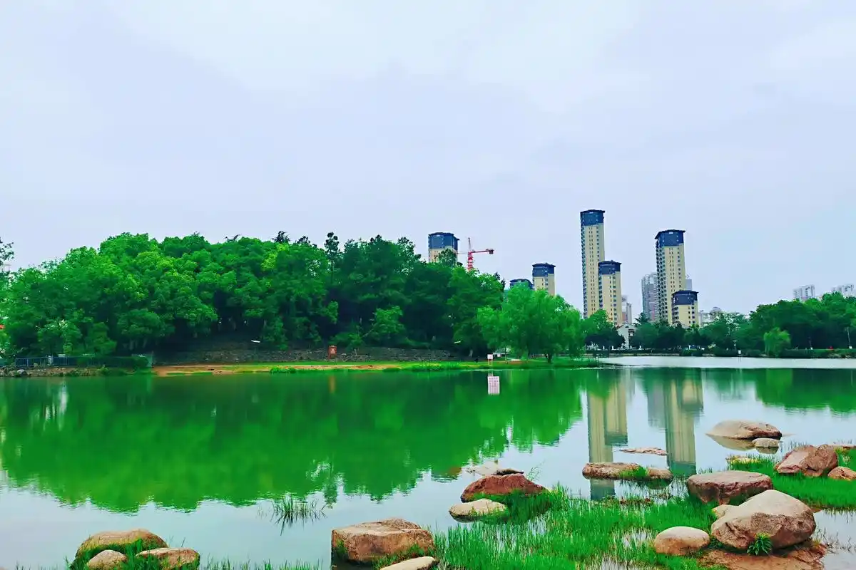 合肥这座城市公园水景出众,为何被称为"安徽最大的农民公园"?