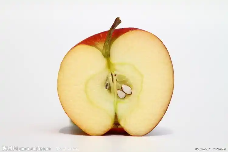 苹果剖面图片