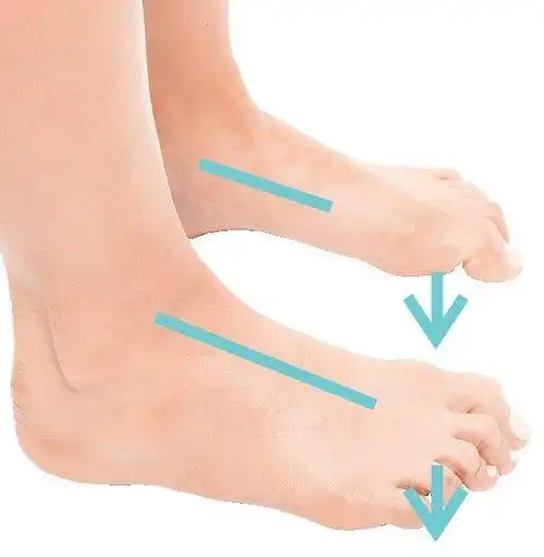 绝对有效 足部&腿部超级按摩法 (图)