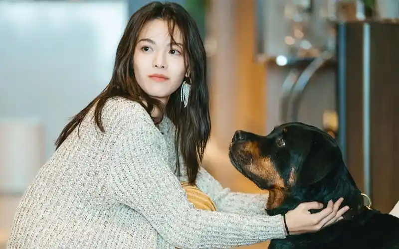 明星评电影钟楚曦狗狗和宠爱都是天赐之礼