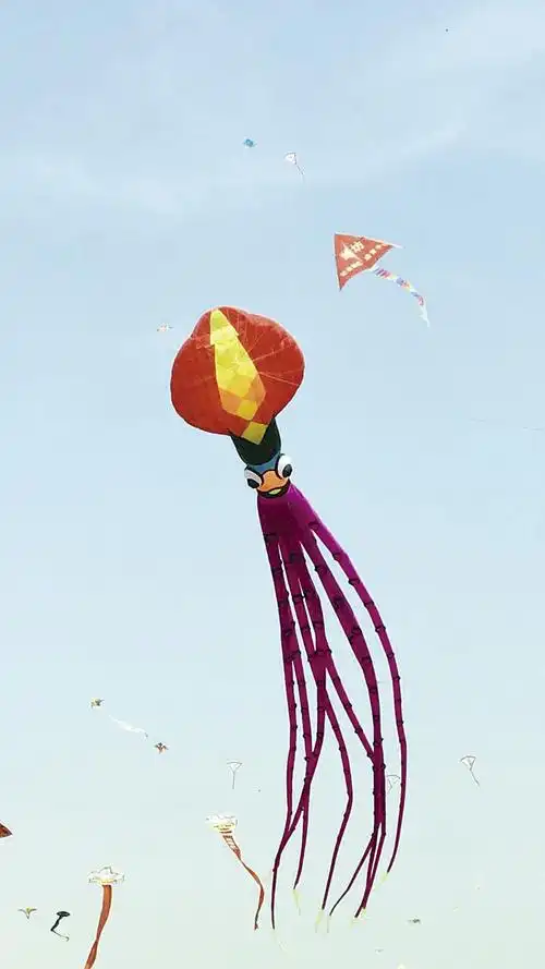 35米长"鱿鱼"风筝高度堪比12层楼 放鸢季带你看龙江奇葩风筝-东北网哈