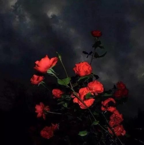 抖音别想了你喜欢的人早就睡了图片