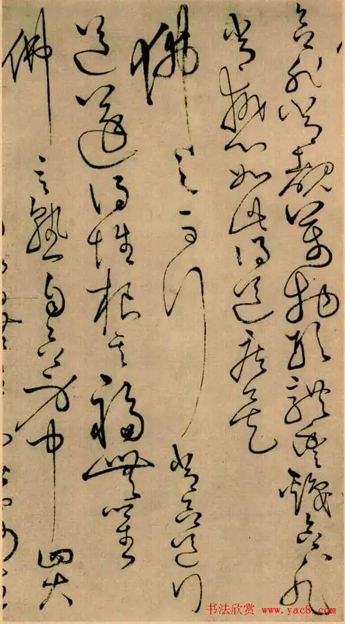 怀素草书欣赏四十二章经真迹13