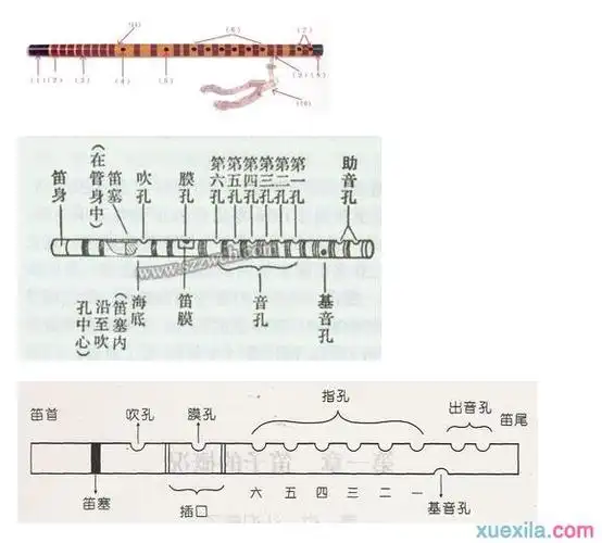 0起步学笛子用什么调0起步学笛子教程