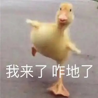 网上那些笑死人的沙雕表情包