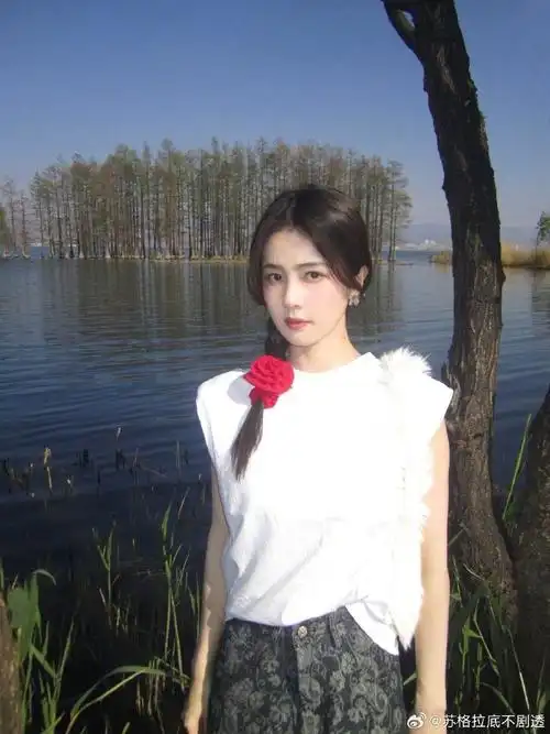 白鹿糖葫芦辫##白鹿伤痛文学女主