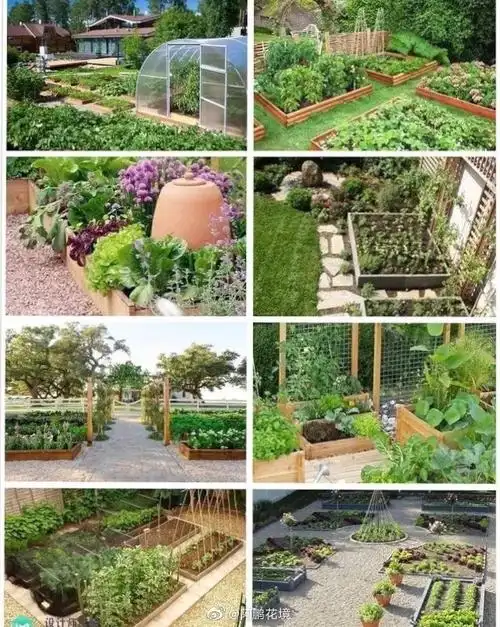 菜园设计大全拿走