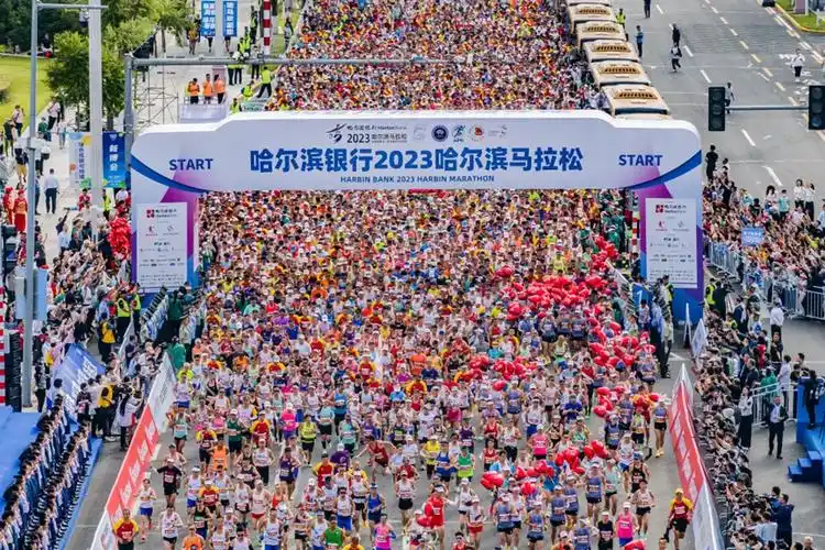 哈尔滨马拉松#2023哈尔滨马拉松 #七台河警跑团 哈马赛道 - 抖音