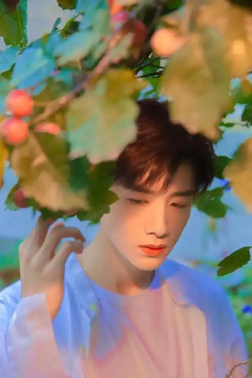 白敬亭高清壁纸无水印分享白鸽们都来