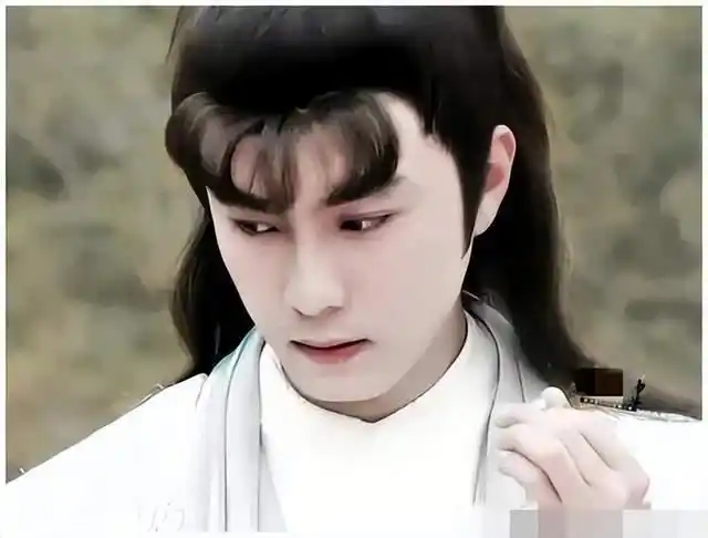 因为张卫健年轻时的长相和《红楼梦》中对"贾宝玉