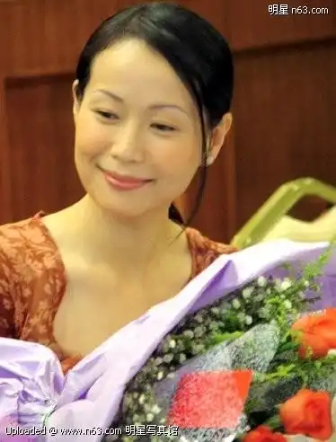 叶童写真-374x492.46k.-明星写真馆n63.com