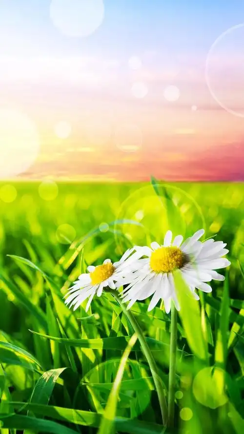 绿色保护您的眼睛