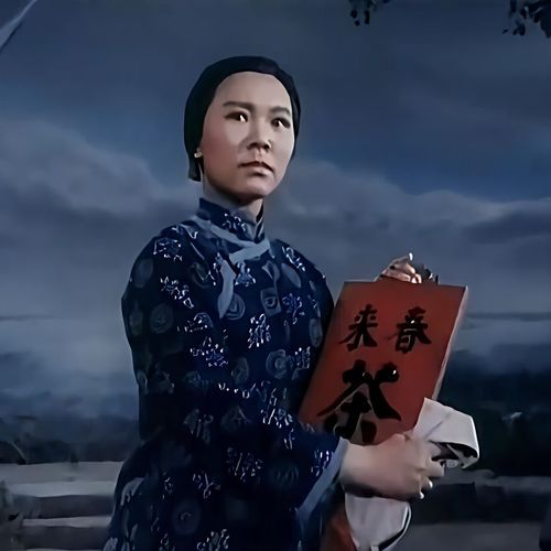 京剧样板戏沙家浜演出服装阿庆嫂郭建光沙奶奶斜襟全套剧目演出服