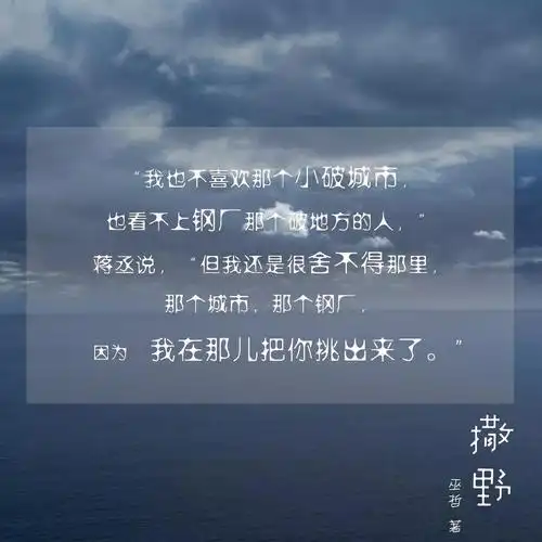 语录|愿《撒野》能够像一束阳光照进你的生活