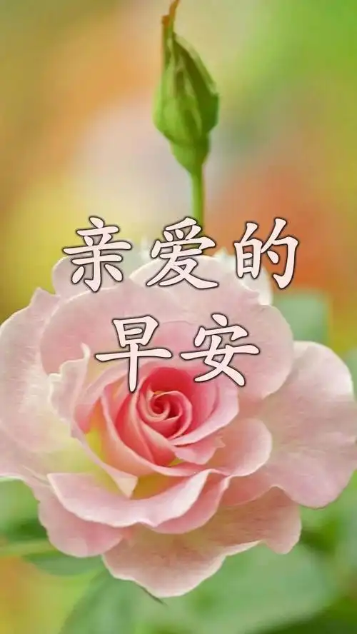 周六微信早安好冬天暖心图片温馨的清晨好问候心语