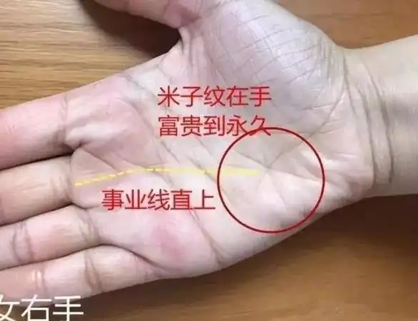 (李向东)手相中的财富纹,你知道吗?