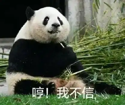 身体里的功夫熊猫觉醒了#熊猫的表情包哈哈哈哈哈 不愧是国宝,不故乔