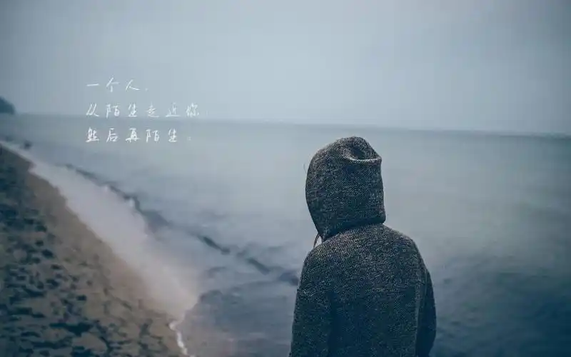 伤感文字说说抖音悲伤 内容简介 抖音很火的伤感句子:总有一个人,一直