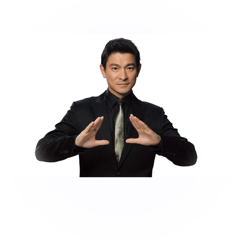 刘德华的贡献和成就得到了官方肯定