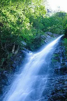水,水资源,水域,岩层,植物,自然地理,大自然,自然环境,自然景观,生态