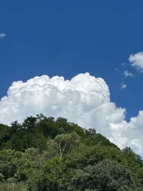 壁纸 风景 690_920 竖版 竖屏 手机