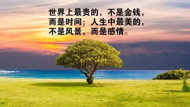 关于简单生活心态的唯美句子的信息