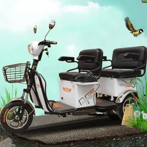 京东转卖cmtm三人电动三轮车三轮电动车老年代步车电瓶车