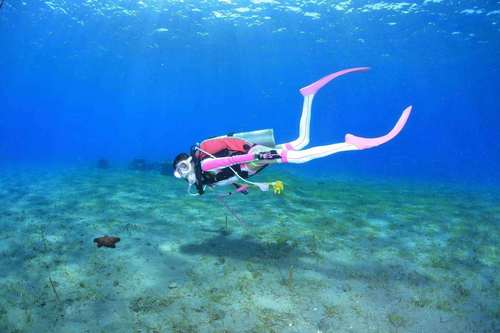 长裤悠蓝蓝鲸2530mm长袖分体连体潜水服湿式上衣速干衣裤套装