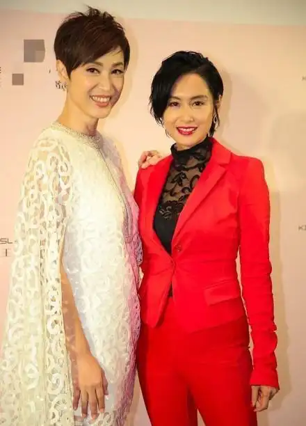 朱茵参加活动现身如今她却长这样